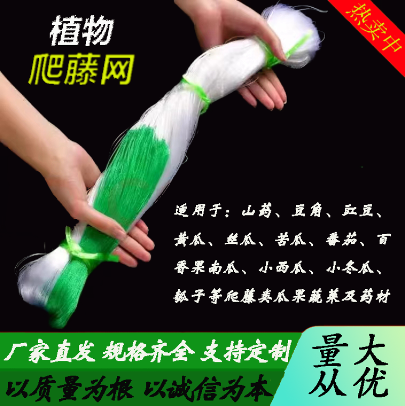 黄瓜豆角专用爬藤网好拉不乱网厂家出货量大从优