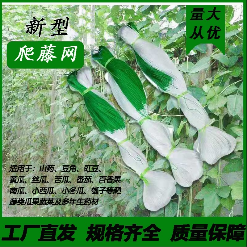 黄瓜豆角专用爬藤网好拉不乱网厂家出货量大从优