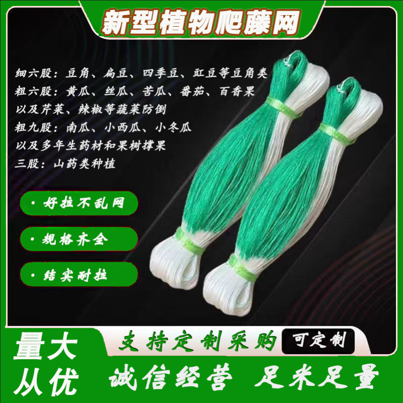 黄瓜豆角专用爬藤网好拉不乱网厂家出货量大从优