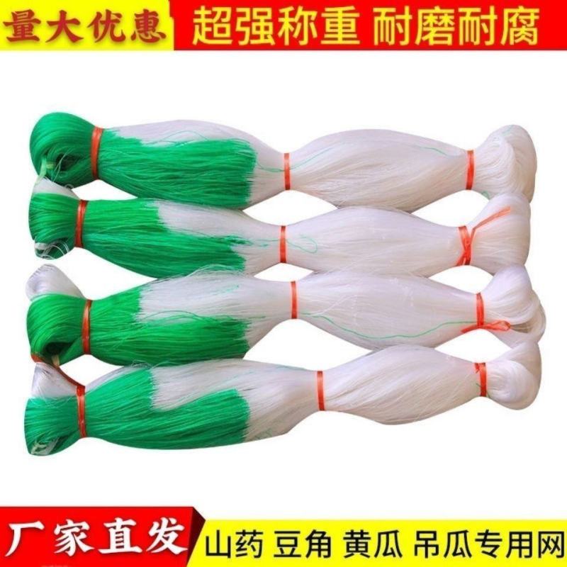 黄瓜豆角专用爬藤网好拉不乱网厂家出货量大从优