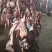 鲜牛肉四川牛肉现宰现杀牛肉分割厂家直发大量供货代发
