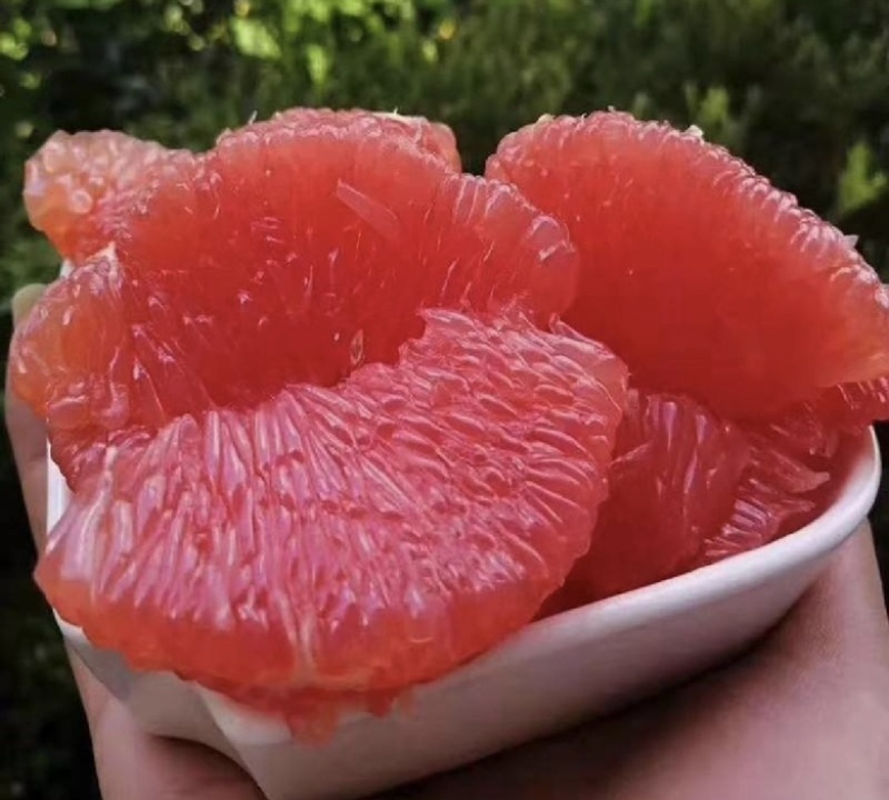 【实力推荐】红心柚湖北套袋红柚可视频看货品质保证