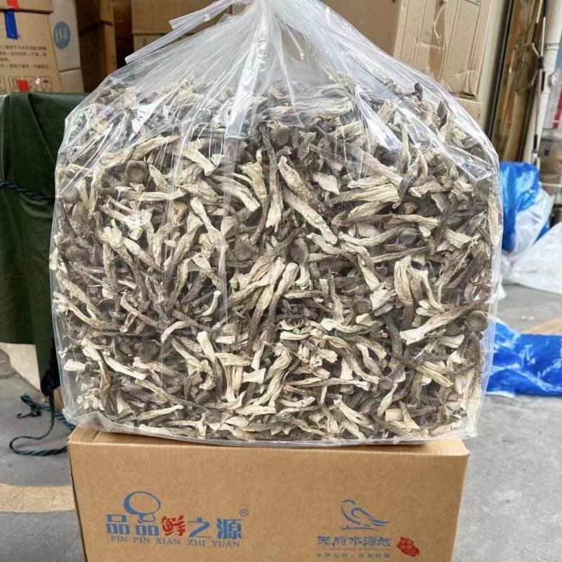 精品鹿茸菇