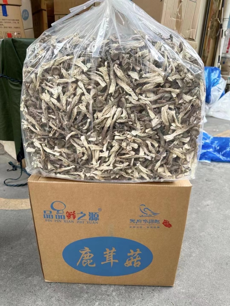 精品鹿茸菇