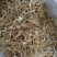 湖南湘玉竹干片，玉竹皮玉竹肉，各种规格【丹丹中药】