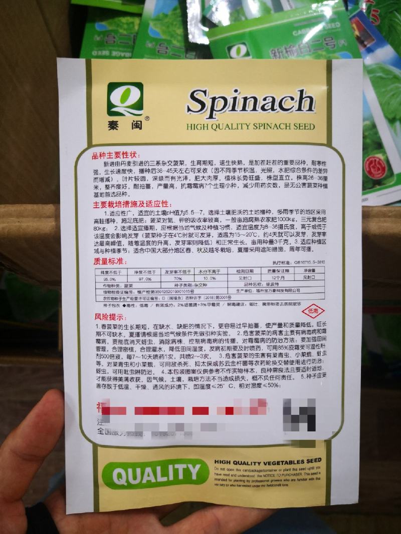 绿波特大叶菠菜种子四季原生态菠菜籽抗病耐热耐寒越冬蔬菜