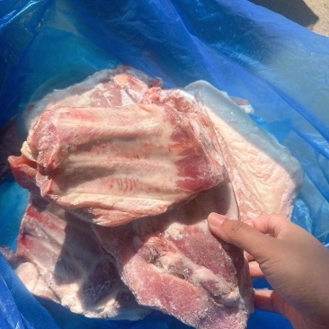 多肉小排一件20斤