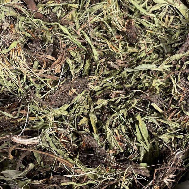 甘松/水洗甘松/精选好货/批发兼零售，量大可商议，包邮