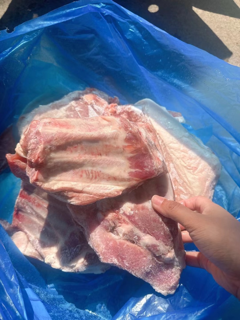多肉小排一件20斤
