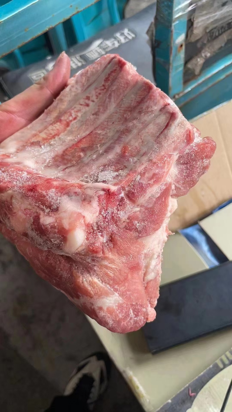 多肉小排一件20斤