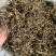 甘松/水洗甘松/精选好货/批发兼零售，量大可商议，包邮