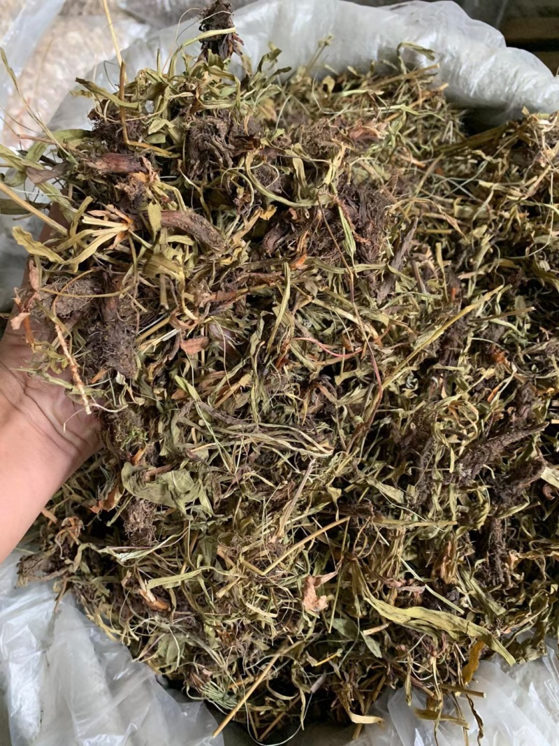 甘松/水洗甘松/精选好货/批发兼零售，量大可商议，包邮