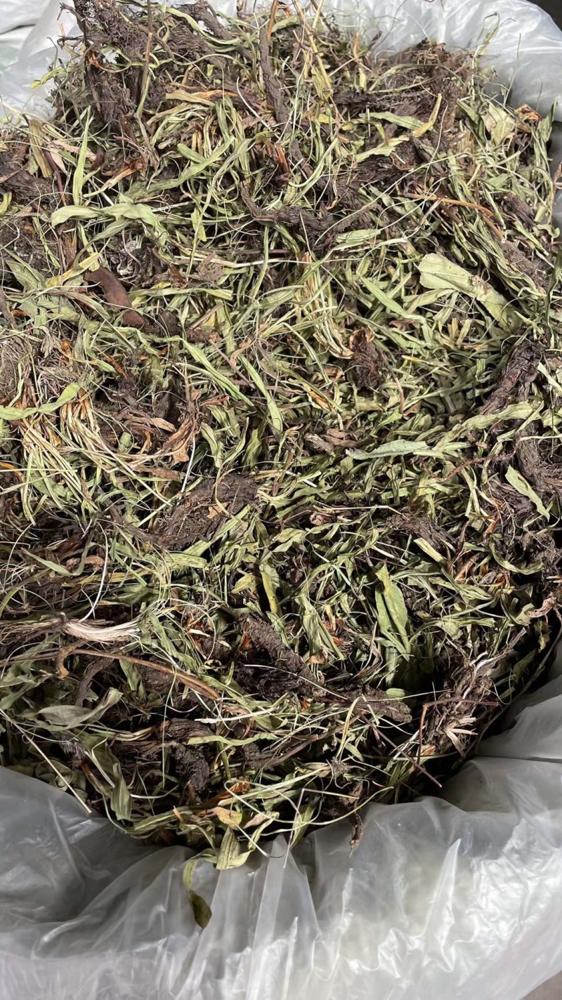 甘松/水洗甘松/精选好货/批发兼零售，量大可商议，包邮