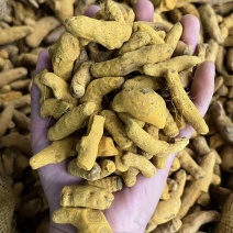 姜黄/精选好货/批发兼零售，量大可商议，全国包邮