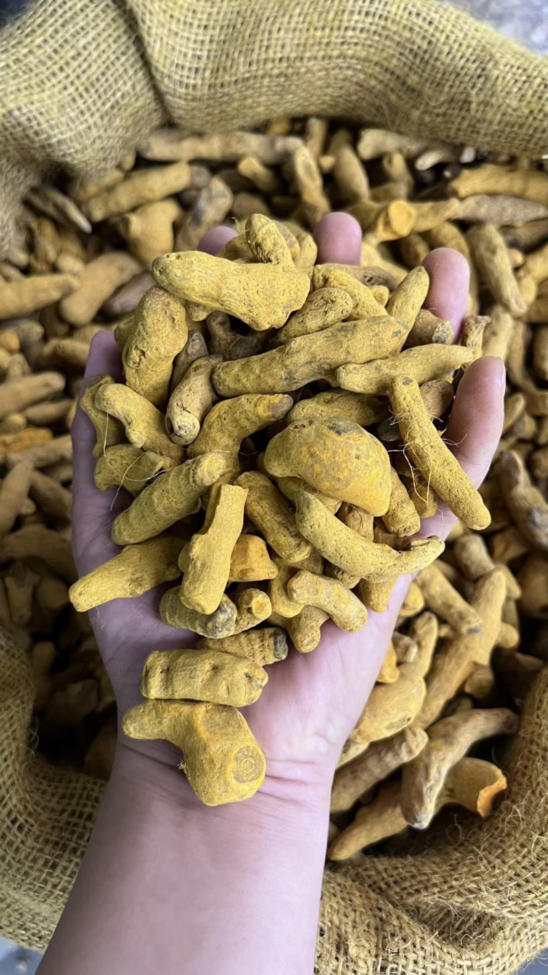姜黄/精选好货/批发兼零售，量大可商议，全国包邮