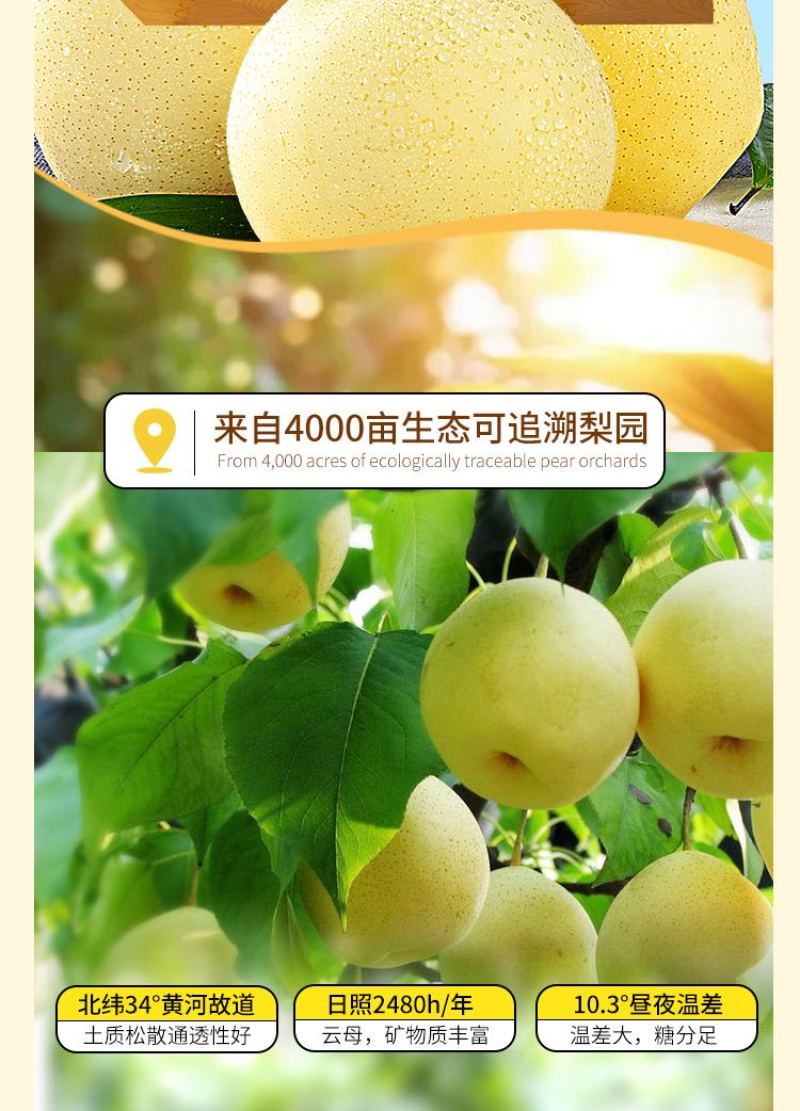 酥梨膏润喉配料表干净百分百砀山酥梨老少皆宜