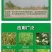 速各利32%滴酸草甘膦速各利非耕地杂草除草剂农田正品农药