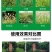 速各利32%滴酸草甘膦速各利非耕地杂草除草剂农田正品农药
