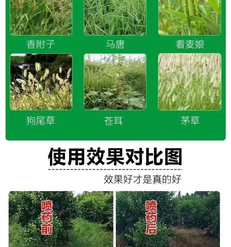 速各利32%滴酸草甘膦速各利非耕地杂草除草剂农田正品农药