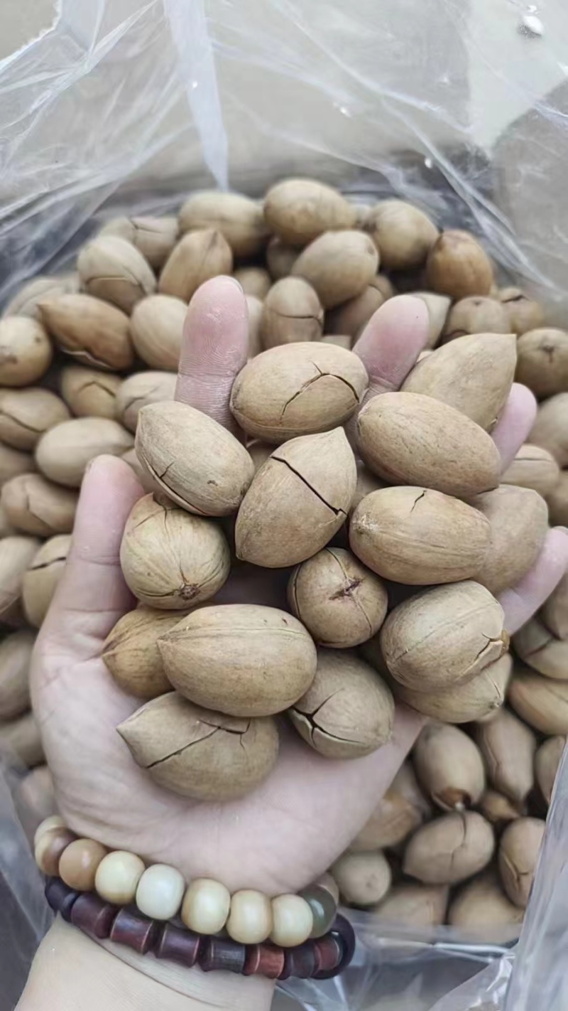 包邮新货手剥碧根果薄壳长寿果坚果炒货年货干果零食量大优惠