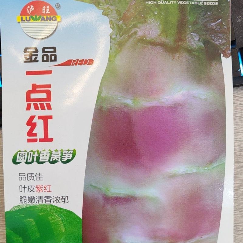 莴笋种子金品一点红圆叶红皮红叶绿肉高品质香莴笋高产