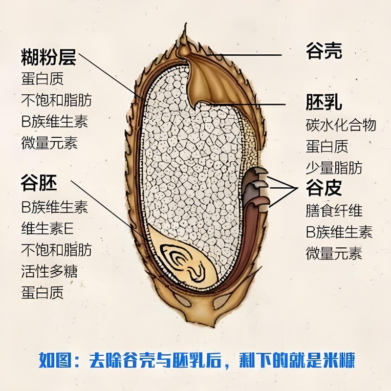 稻糠