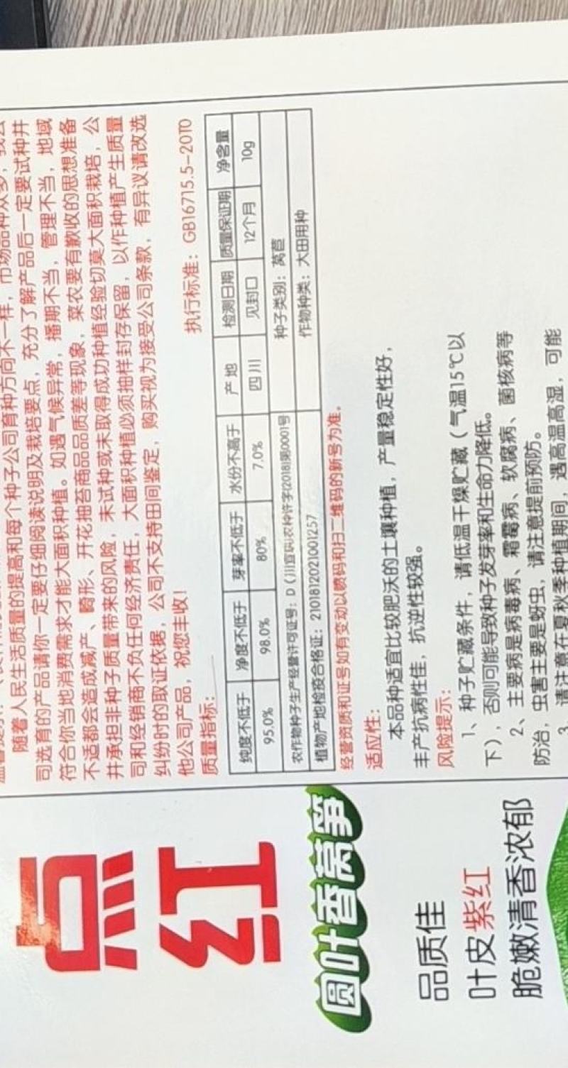 莴笋种子金品一点红圆叶红皮红叶绿肉高品质香莴笋高产