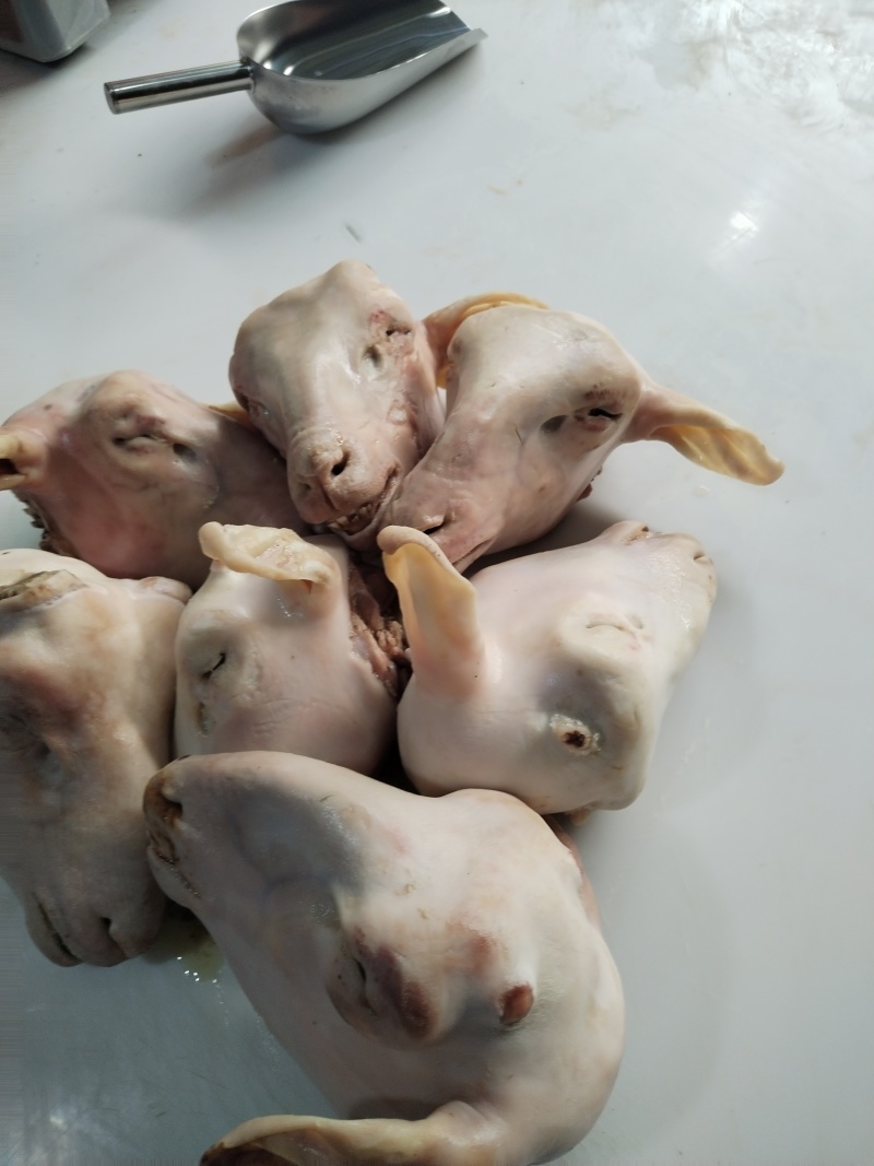 羊头，小羊头，麻辣羊头专用羊头。