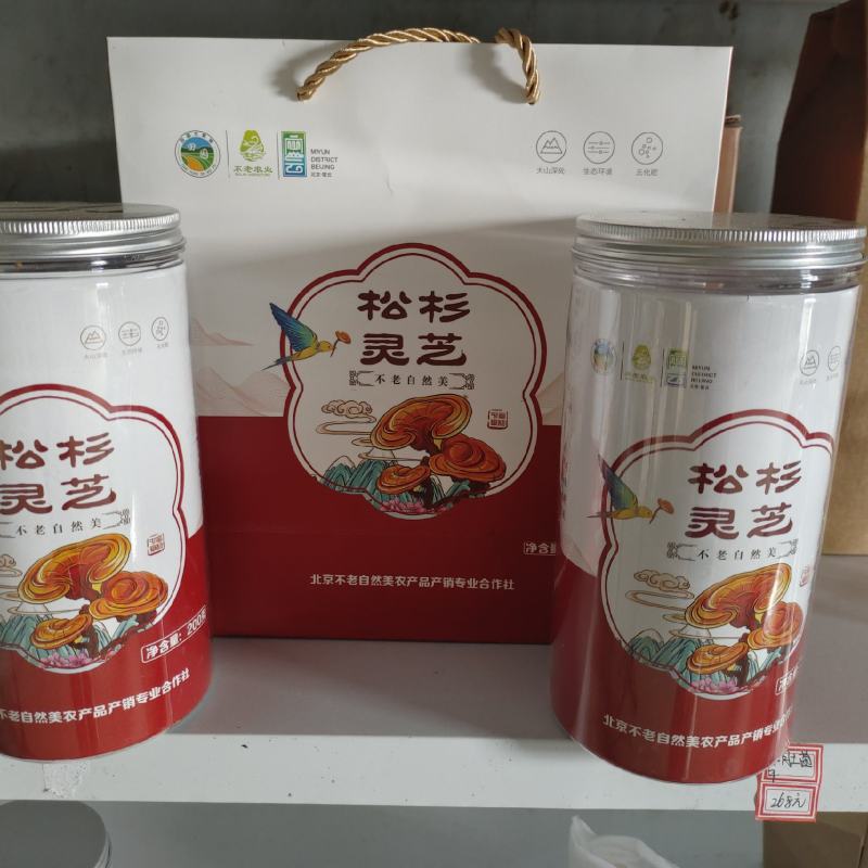 【复购高】灵芝切片/精品包装/保质保量/视频看货