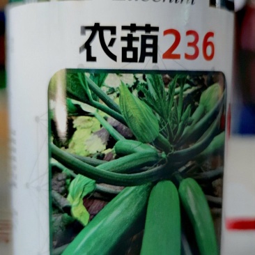 绿色西葫芦种子农葫236瓜码密颜色绿顺直早春秋延茬