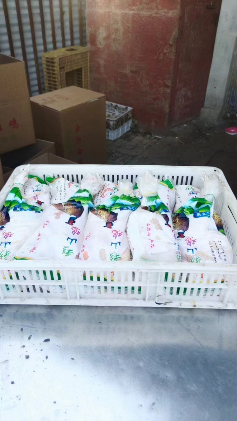 【优选】白条鸡七彩山鸡注重品质健康好货诚信经营