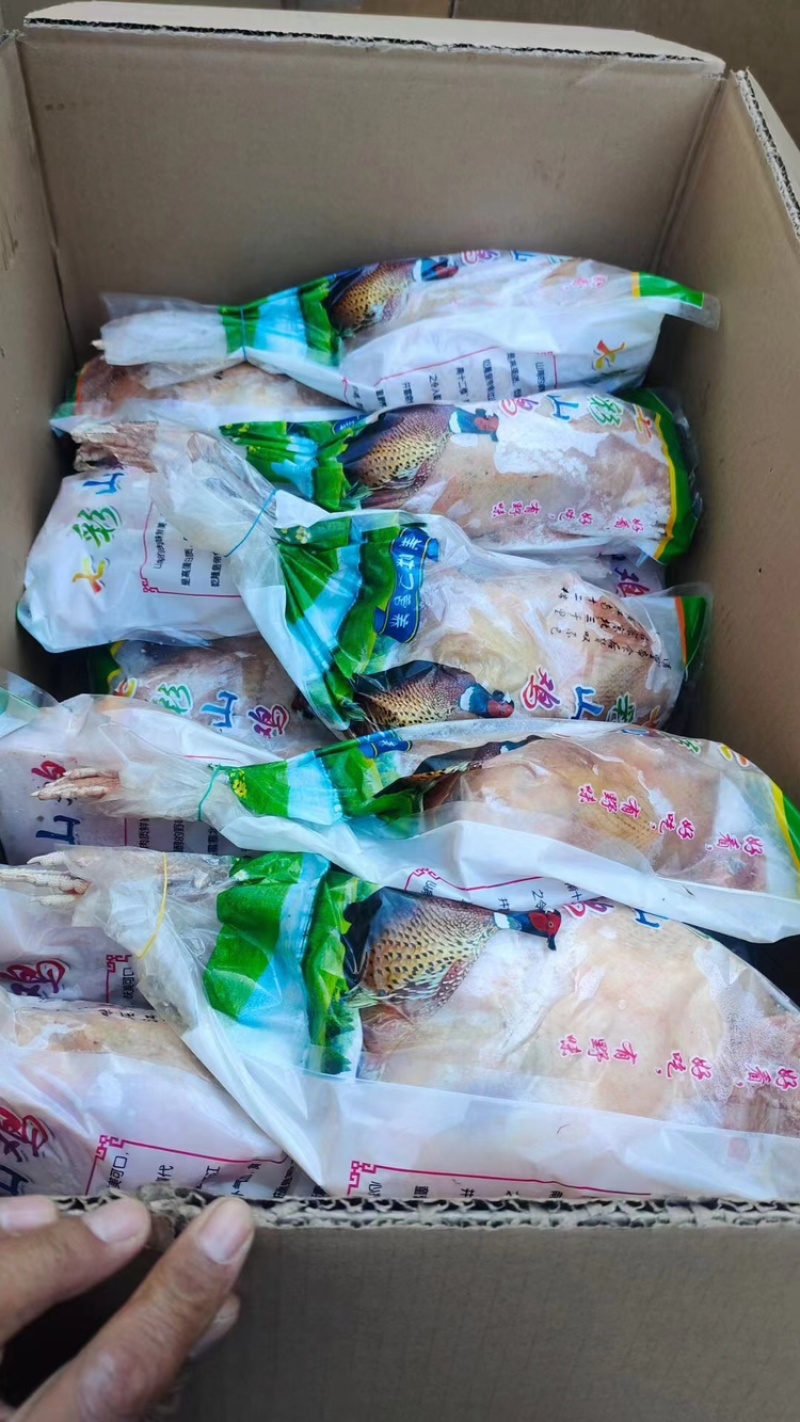 【优选】白条鸡七彩山鸡注重品质健康好货诚信经营