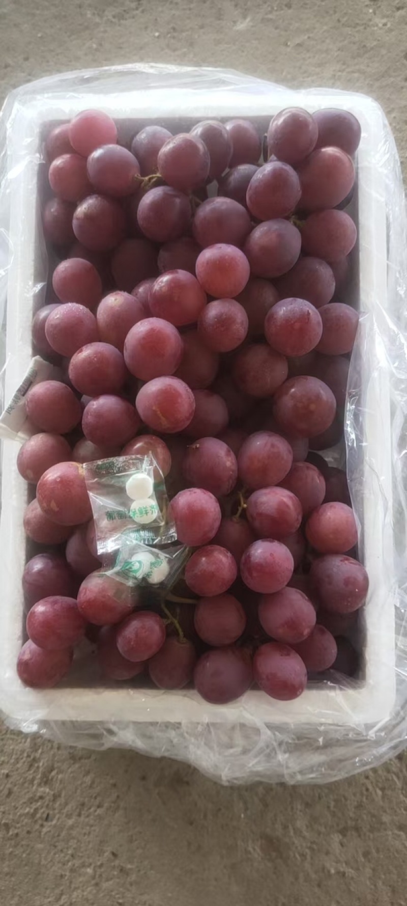 涿鹿红提葡萄量大质优价格优惠一手货源欢迎老板前来