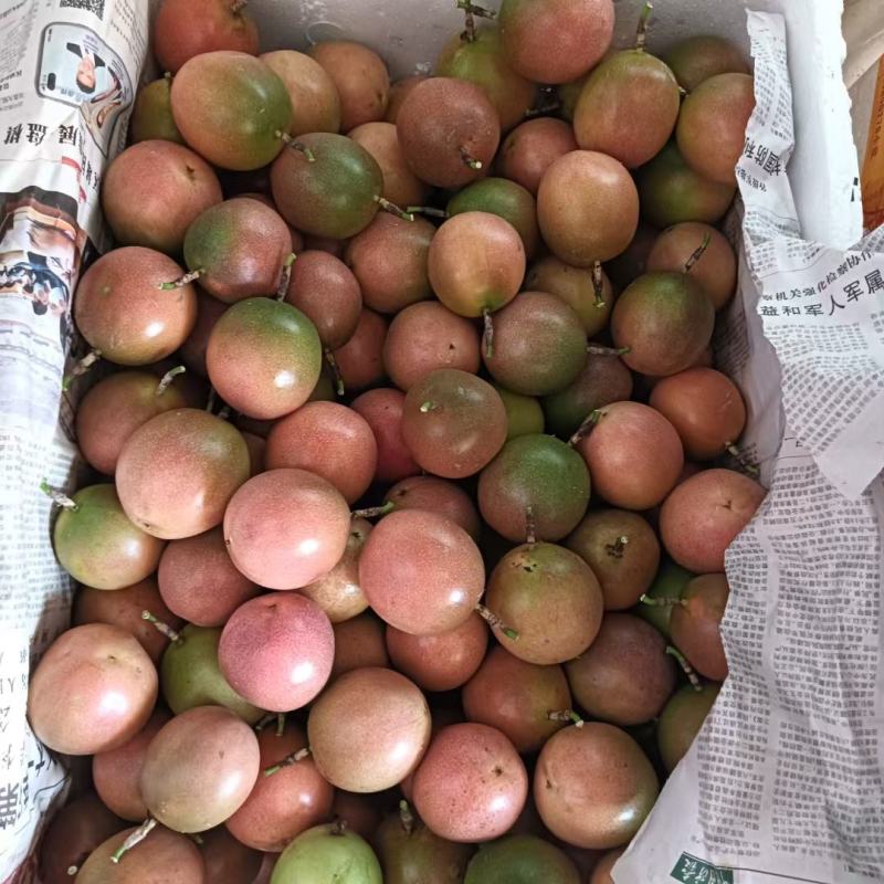 一级果百香果