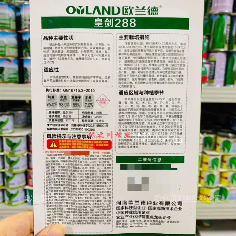 黄绿皮尖椒种子皇剑288辣椒种子中辣大果尖椒牛角椒种籽
