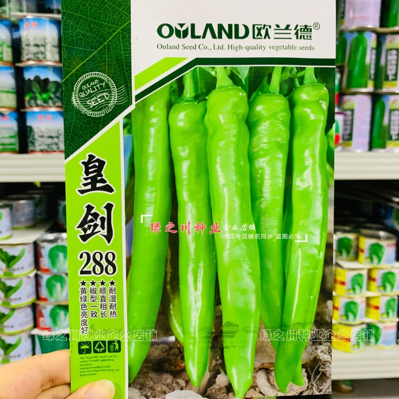 黄绿皮尖椒种子皇剑288辣椒种子中辣大果尖椒牛角椒种籽