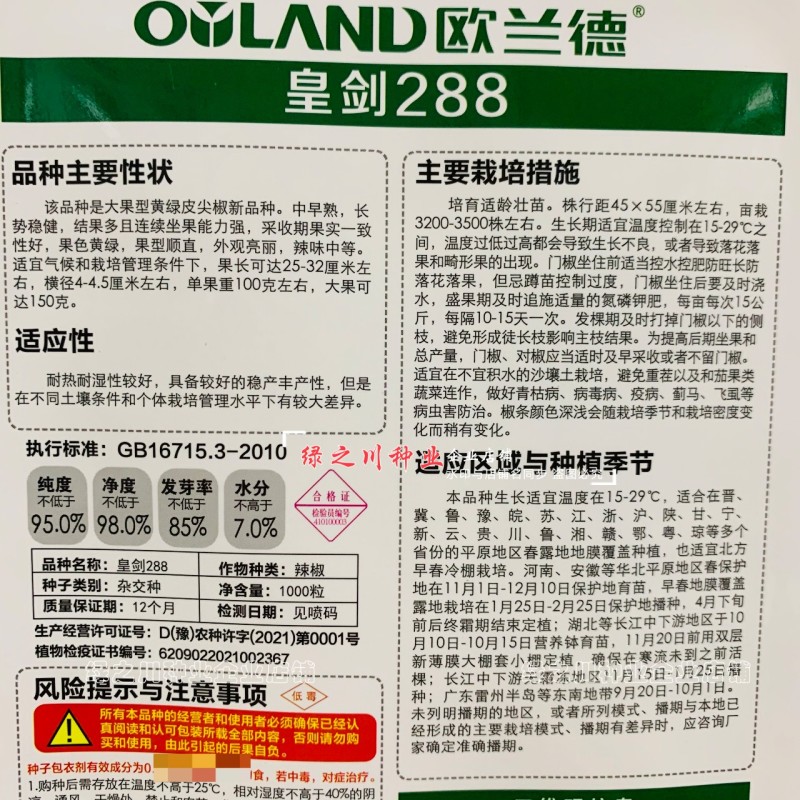 黄绿皮尖椒种子皇剑288辣椒种子中辣大果尖椒牛角椒种籽