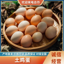 湖北正宗土鸡蛋走地鸡散养自家养殖/视频看货