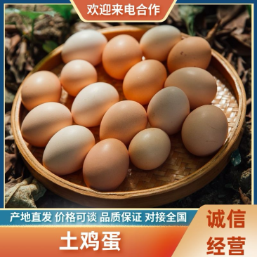 湖北正宗土鸡蛋走地鸡散养自家养殖/视频看货价格美丽