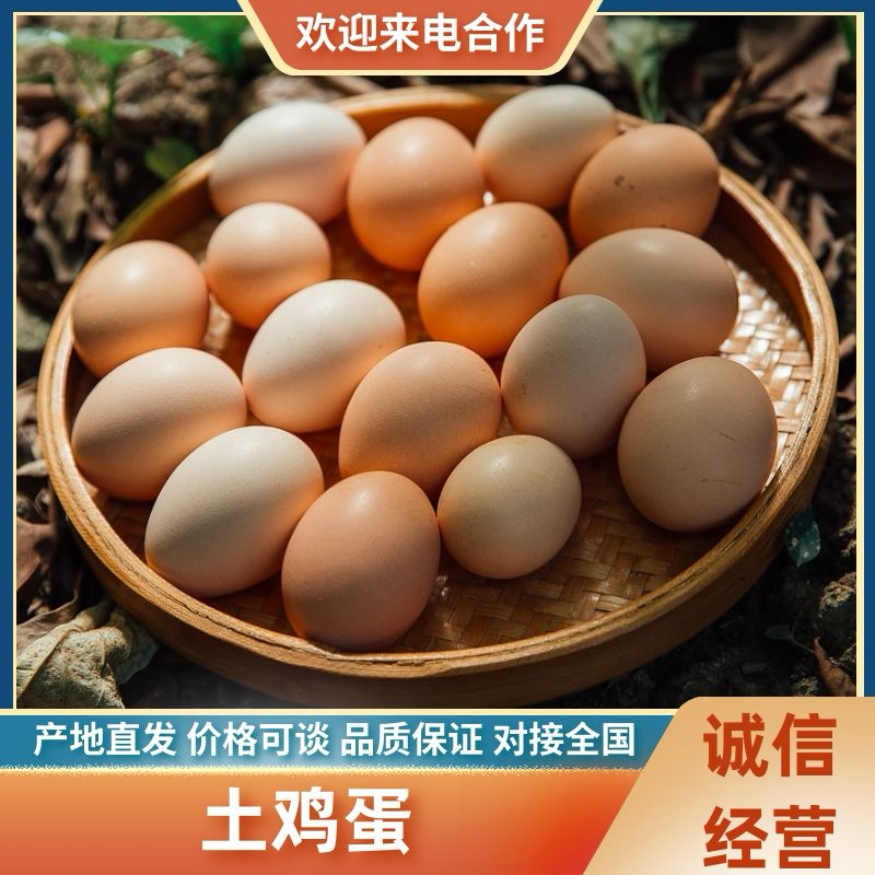 湖北正宗土鸡蛋走地鸡散养自家养殖/视频看货