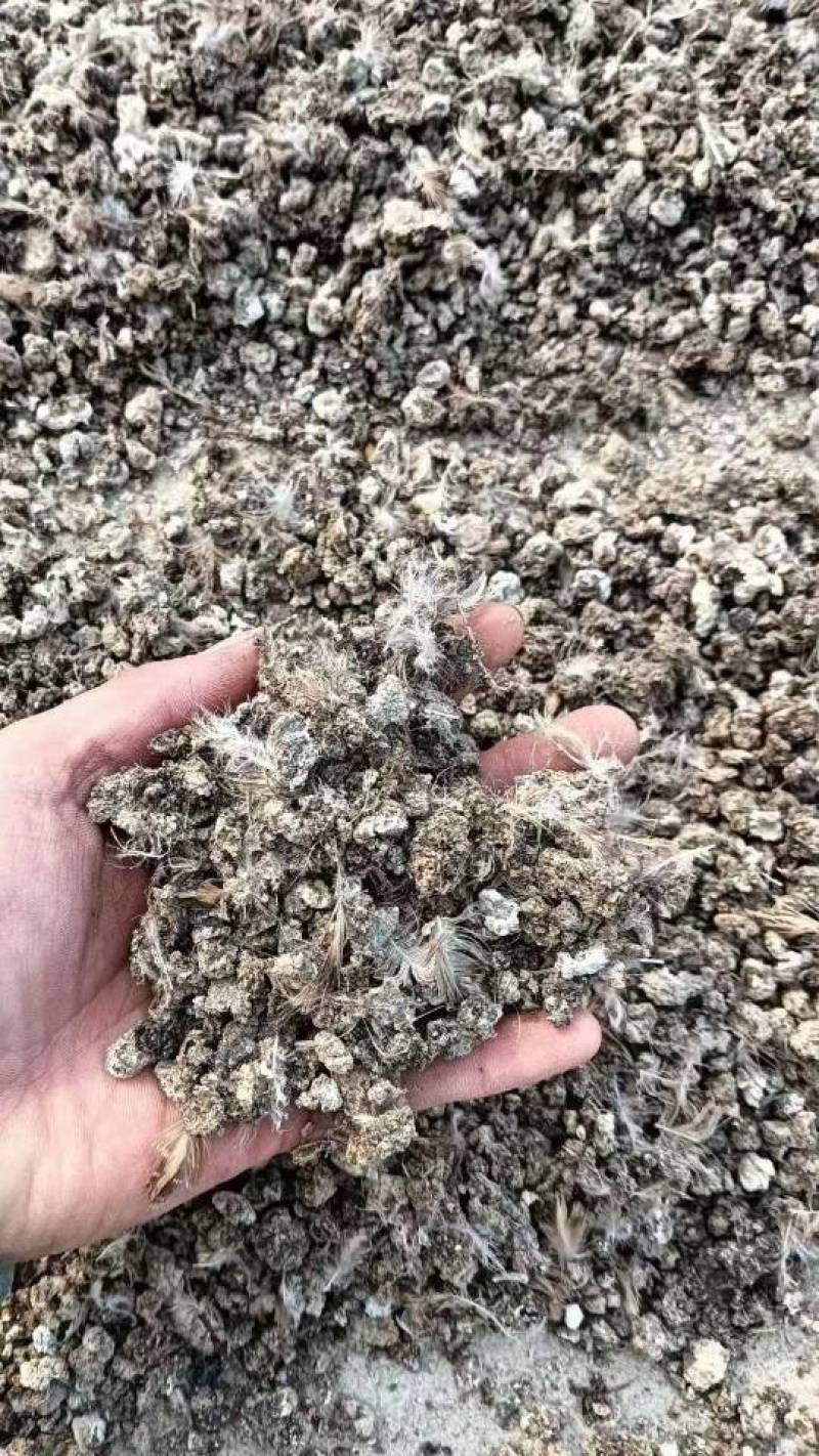 河南颗粒肥料鹌鹑粪有机肥料粪便助力农作物生长