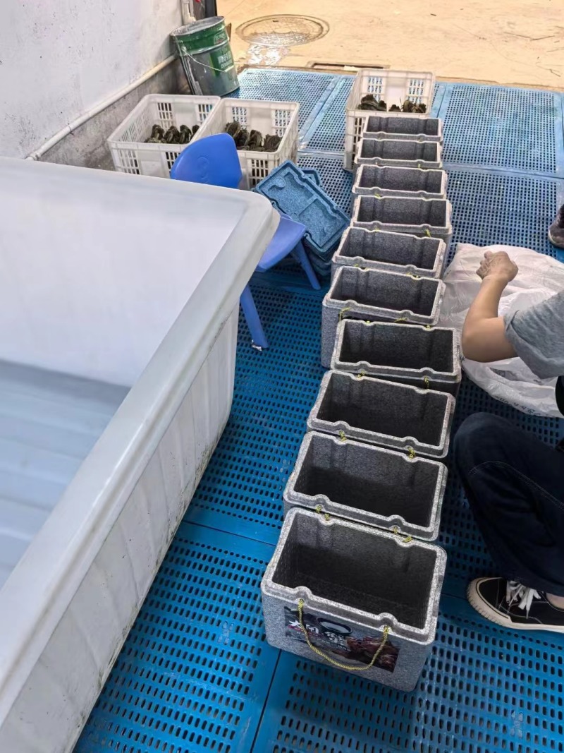 江苏泰州兴化大闸蟹规格齐全养殖基地货源充足