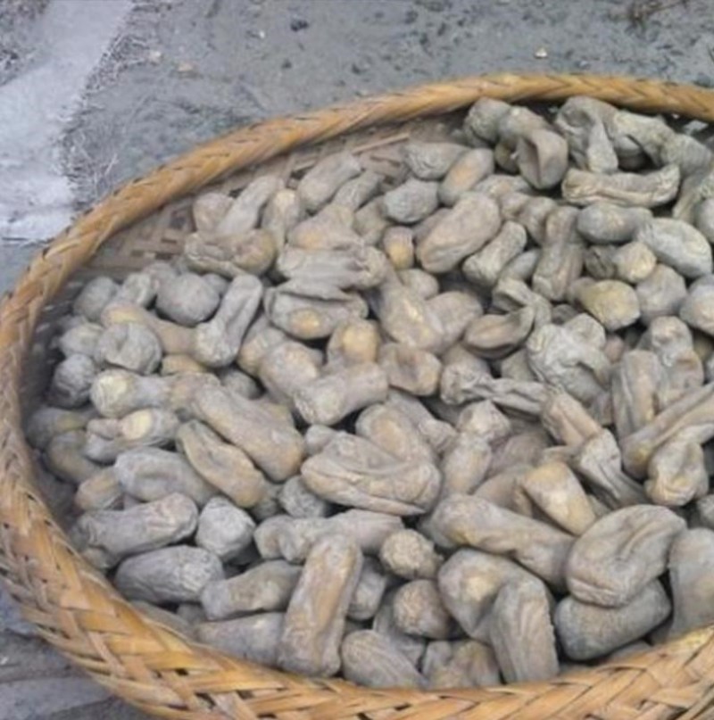 灰豆腐果