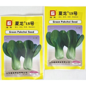 夏龙18号青梗菜种子耐热不拔节不烧心上海青梗菜种100克