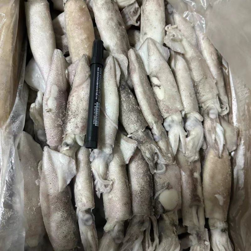 【推荐】单冻笔管鱼对接全国可视频看货欢迎下单咨询