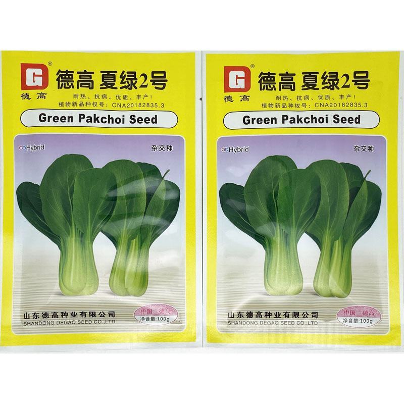 德高夏绿2号青梗菜种子耐热耐湿不拔节油亮上海青种子原装