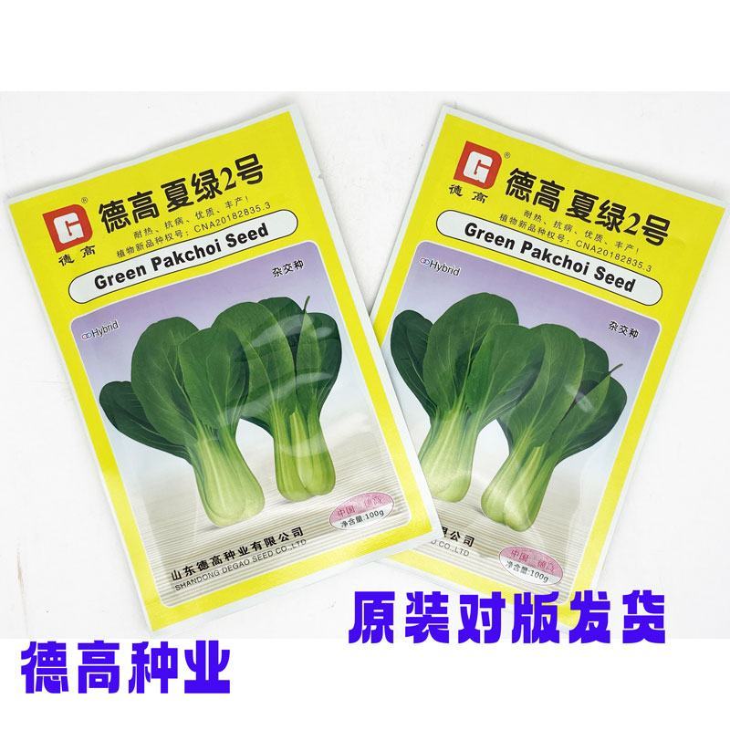 德高夏绿2号青梗菜种子耐热耐湿不拔节油亮上海青种子原装