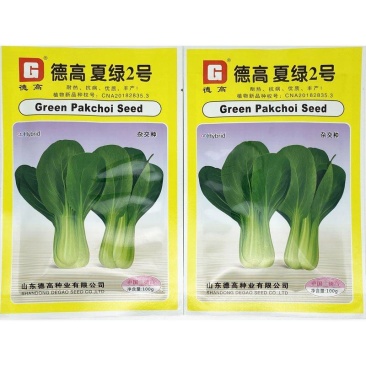 德高夏绿2号青梗菜种子耐热耐湿不拔节油亮上海青种子原装