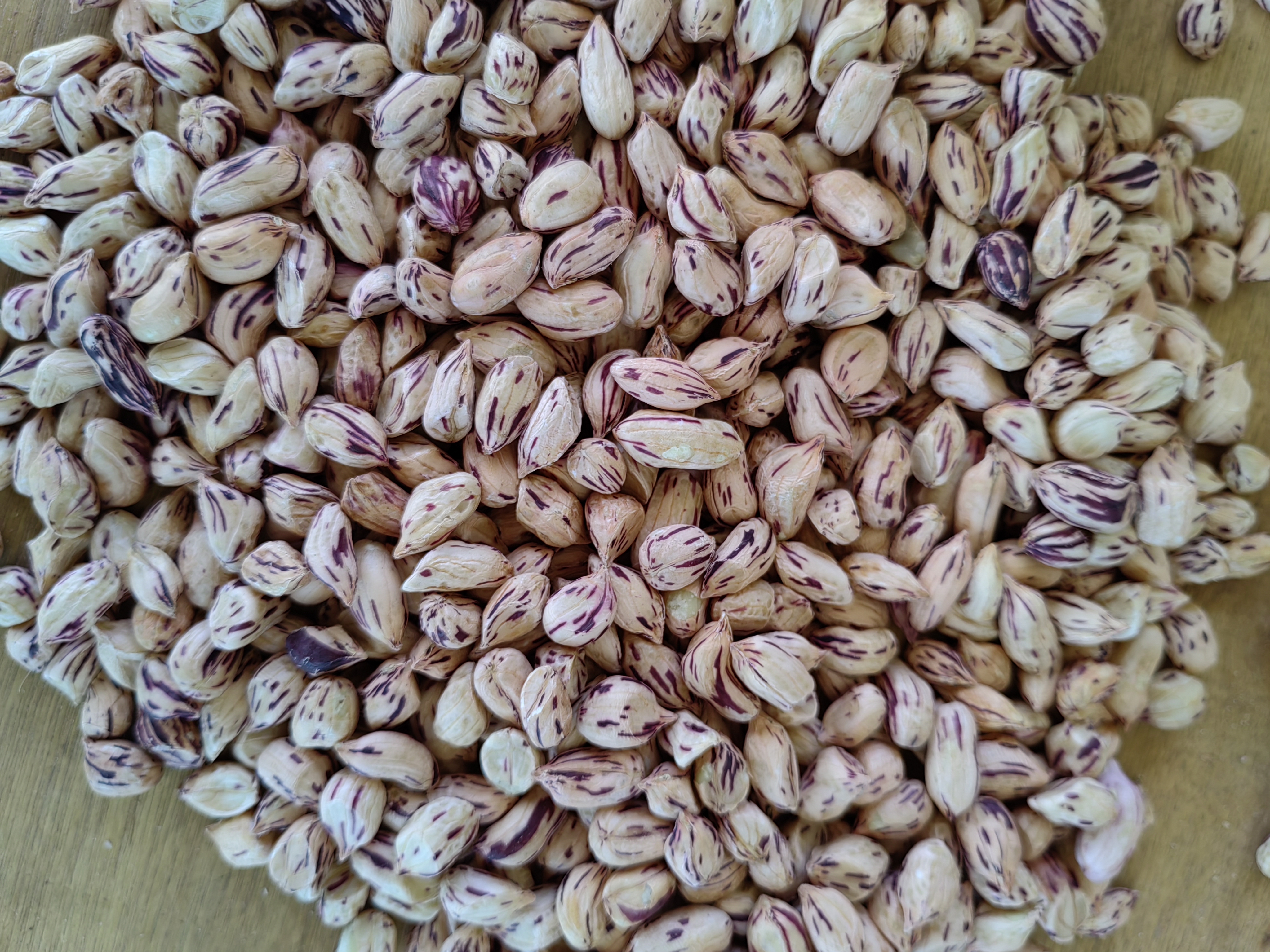 人体消化系统示意图标注韭菜影响部位