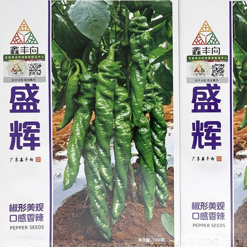 鑫丰向盛辉全螺旋螺丝椒种子高产高秧薄皮麻面螺丝椒种原装